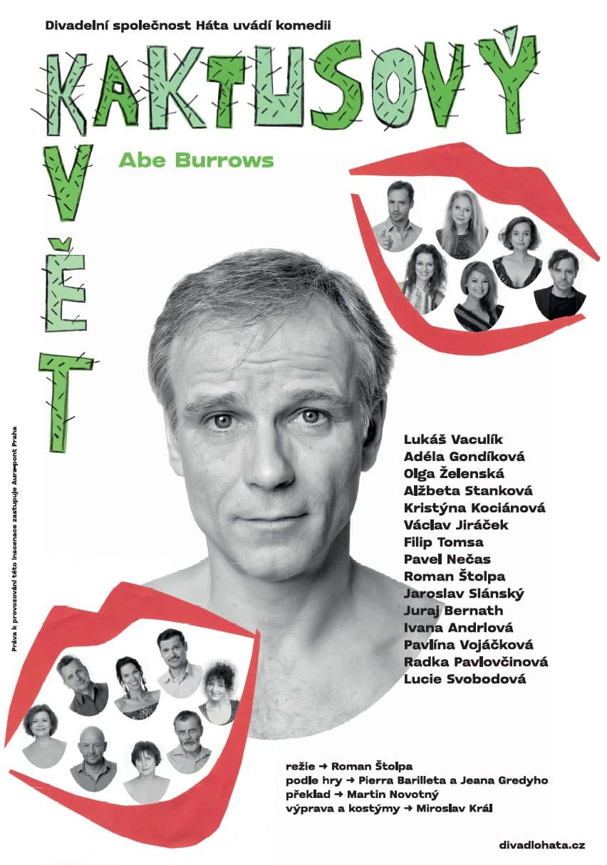 Kaktusový květ